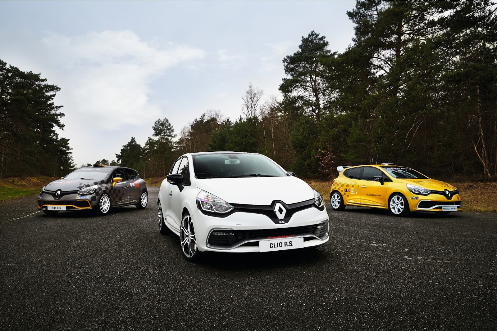 00079010 1 Renault Clio: Γράφει ιστορία και στους αγώνες