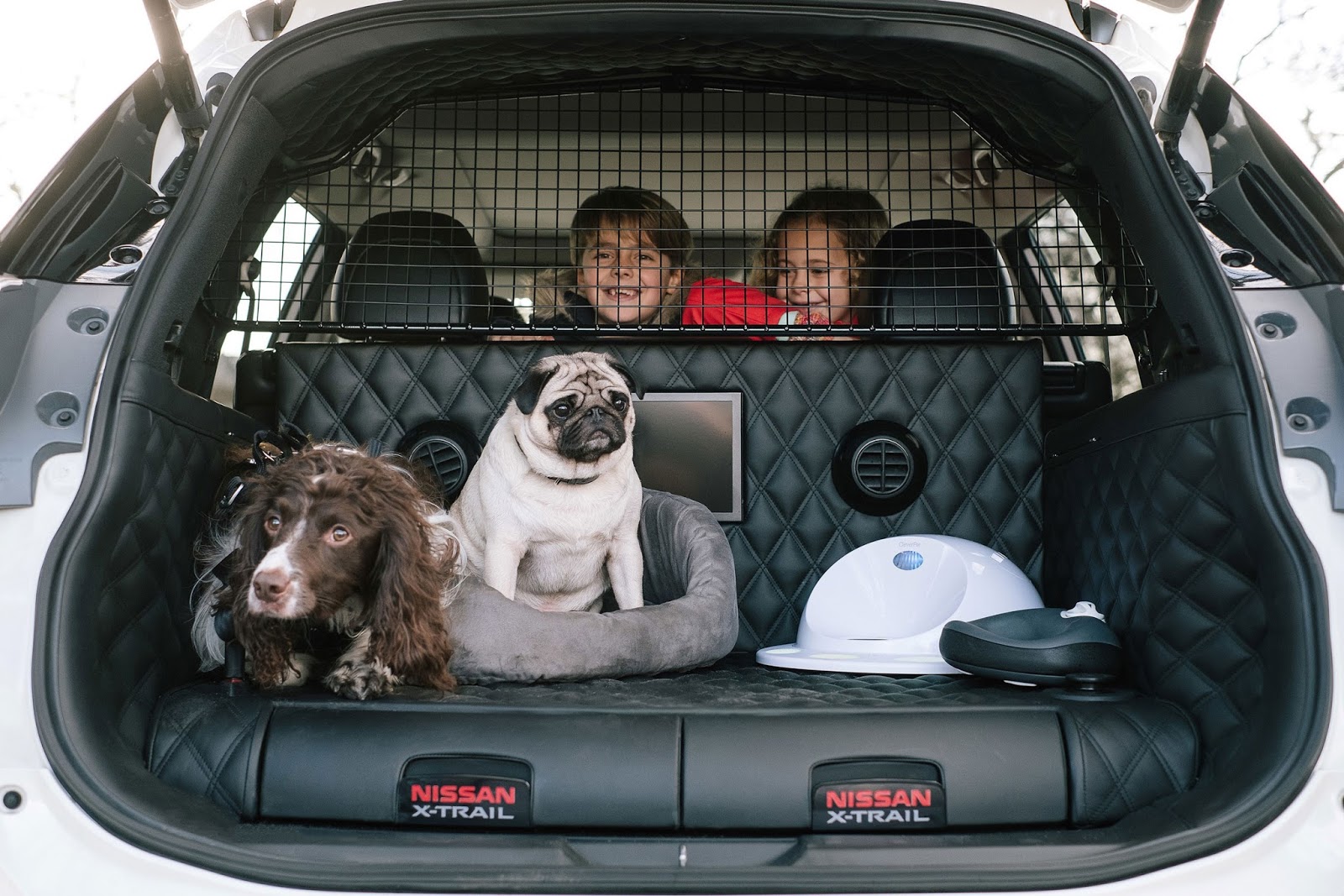 Nissan X Trail 4Dogs1 Ο σκύλος σου μίλησε : Έτσι θέλω να ταξιδεύω!