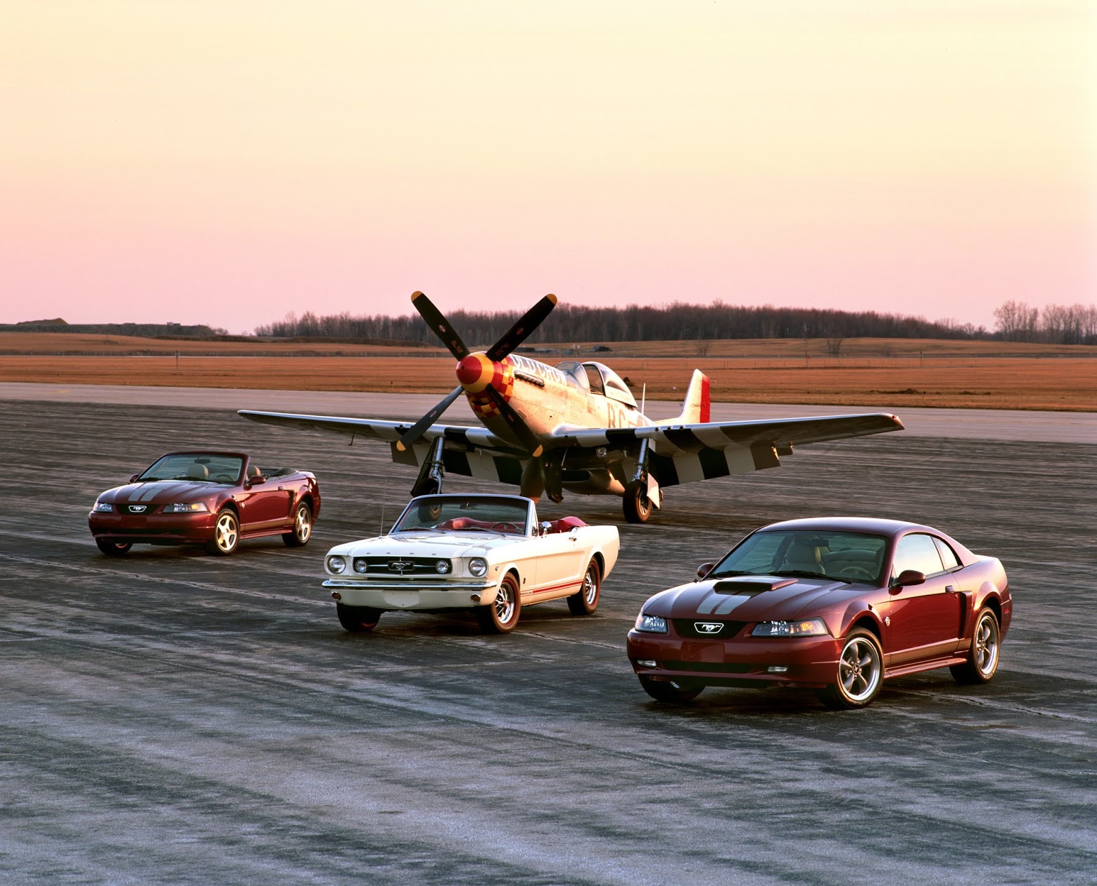 2004 Ford Mustang Anniversary edition and 1965 Mustang with P 51 1 Πώς γιορτάζει η Mustang τα 55 της χρόνια;