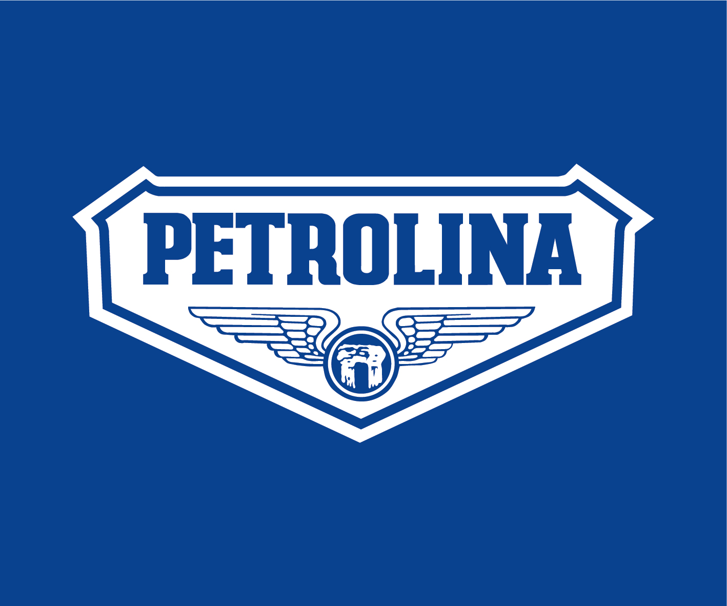 Petrolina2Blogo2Bborder2Bbackground2BRGB255B10255D Εξαγορά της ΣΙΛΚ ΟΙΛ ΑΕ από τον Όμιλο PETROLINA