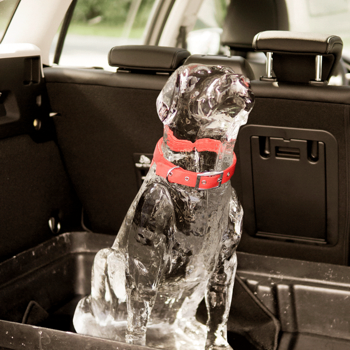 2019 FORD ICE DOG Ford : Πως μερικά λεπτά στο αυτοκίνητο το καλοκαίρι, μπορούν να αποβούν μοιραία για παιδιά και κατοικίδια