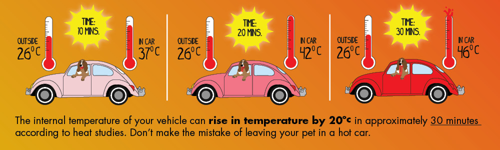 Hot Car Temperature Τι να προσέξεις στο αυτοκίνητό σου με τον καύσωνα