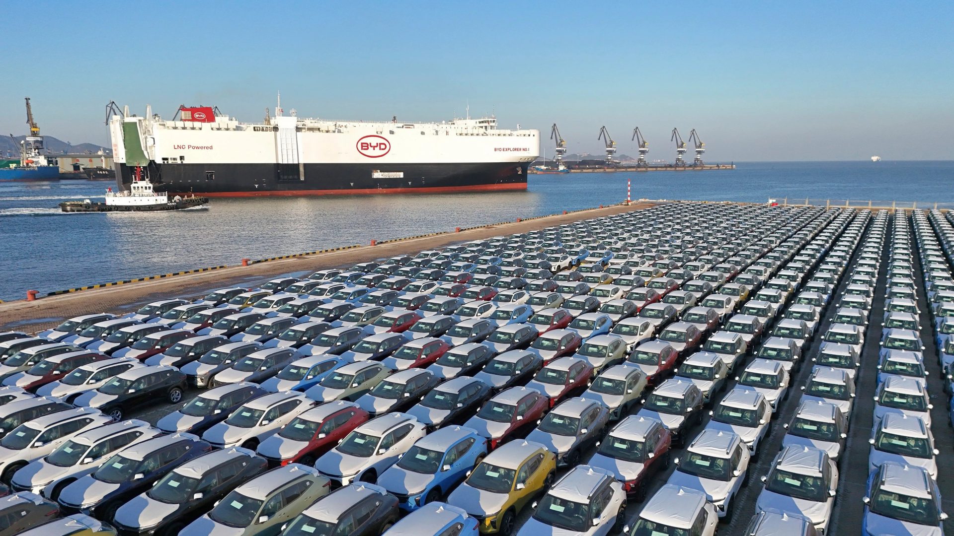 byd ships