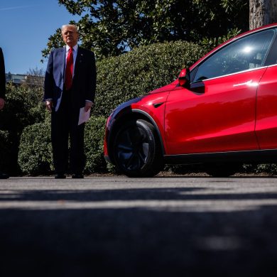 tesla Musk Trump